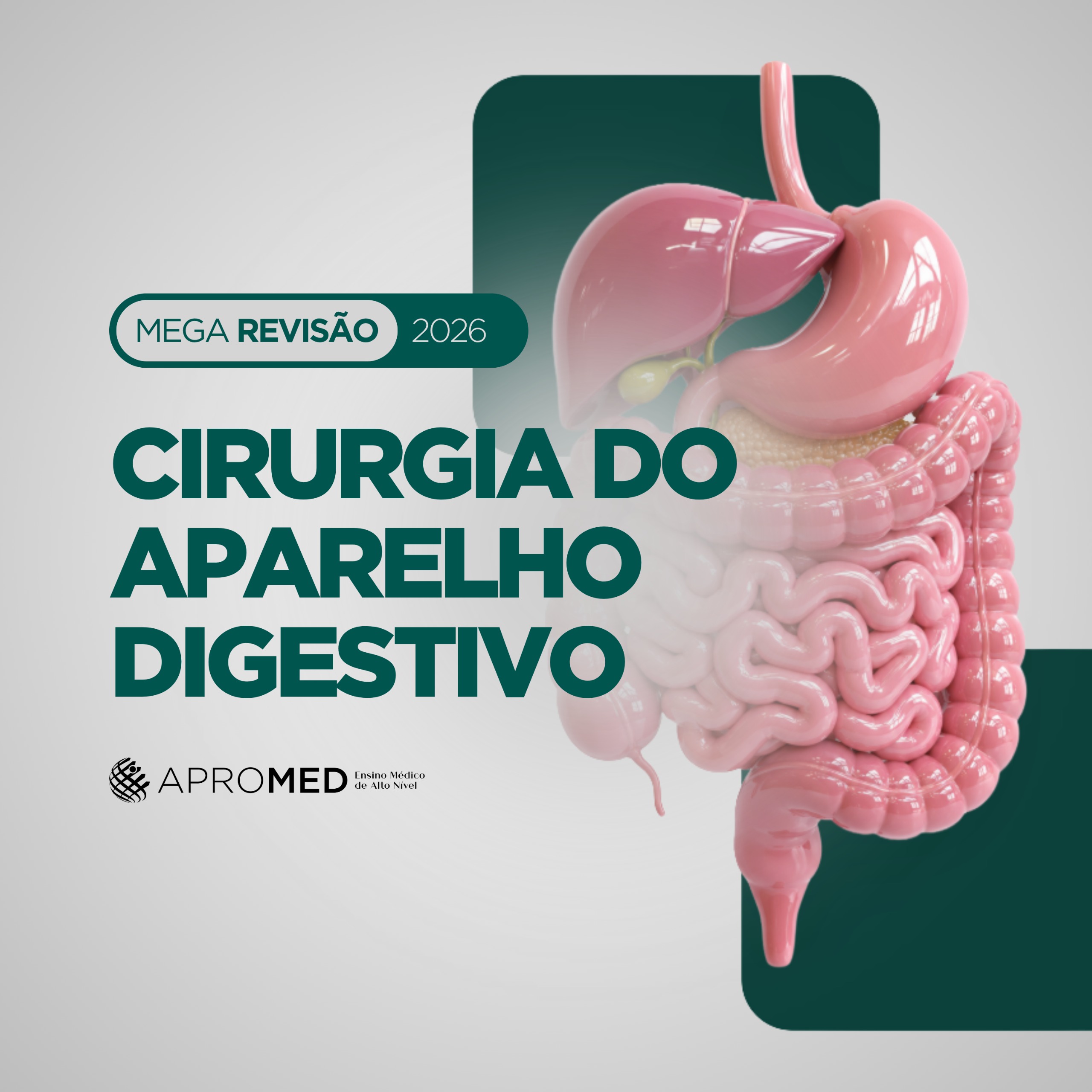 Mega Revis�o CAD 2026